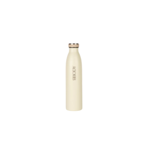STAINLESS STEEL TEA BOTTLE
