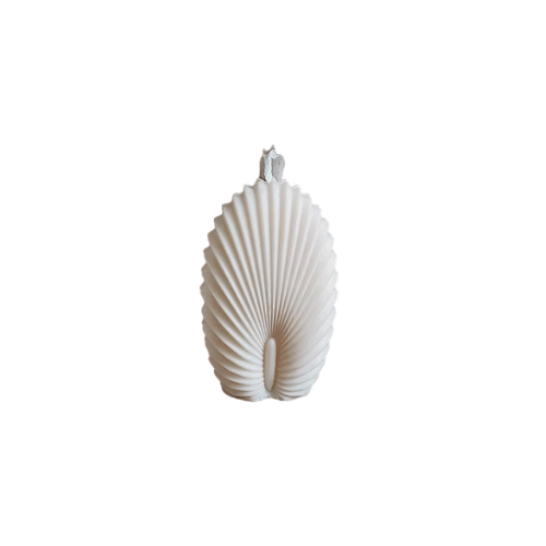 Scallop Seashell