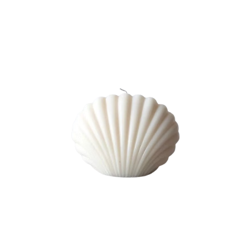 Seashell from Seaside